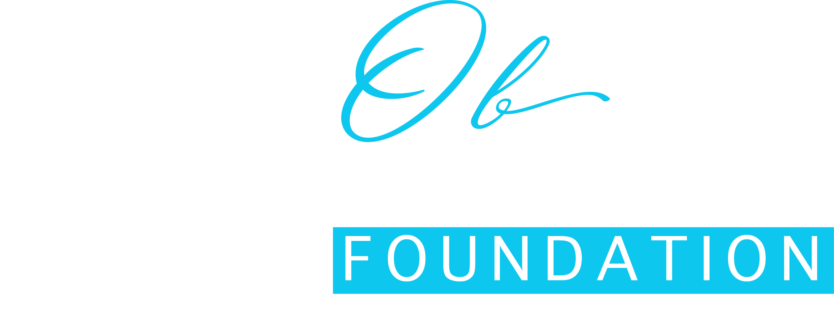 OB Domestic Violence
